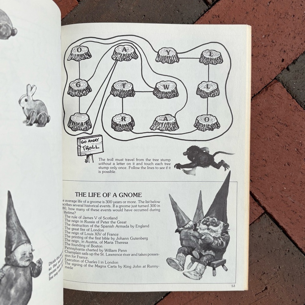 1980 Gnomes Games Trolls Gnome Puzzles Tricks Magic Word Search Fey Larry Evans - Picture 4 of 12